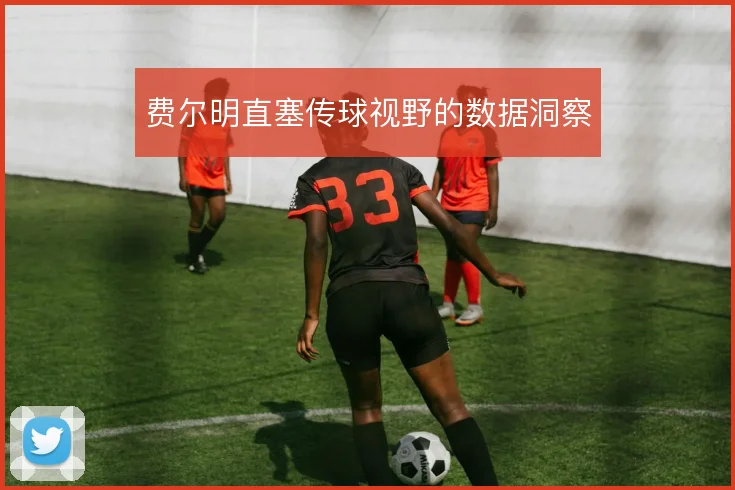 费尔明直塞传球视野的数据洞察
