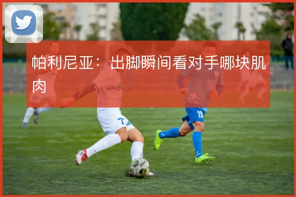 帕利尼亚：出脚瞬间看对手哪块肌肉