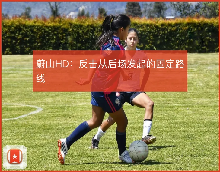 蔚山HD：反击从后场发起的固定路线